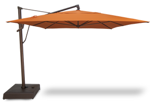 Treasure Garden 10'x13' AKZ Plus Cantilever (Base Included)